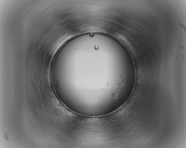 X0000100411182200806131029