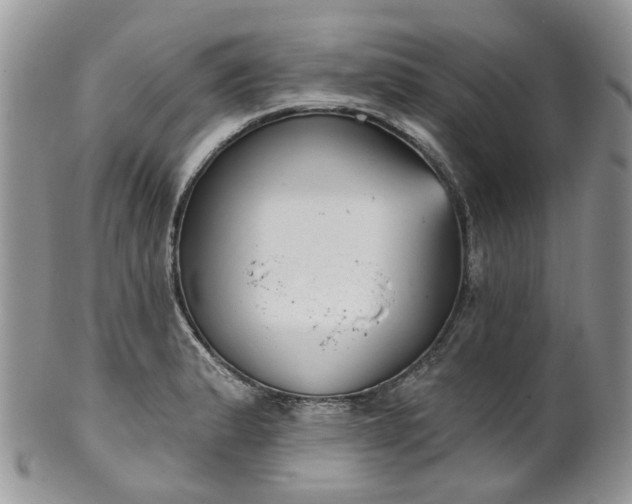 X0000100411183200806131029