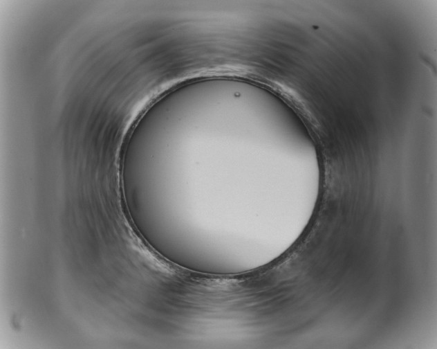 X0000100411184200806131029