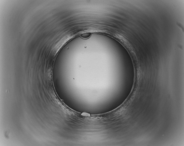 X0000100411185200806131029