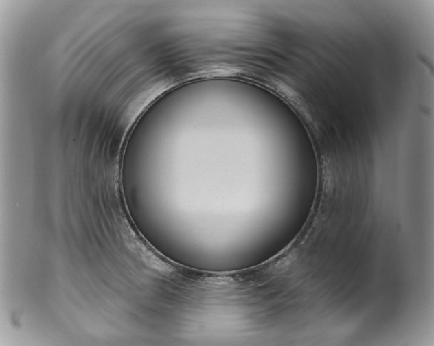 X0000100411186200806131029