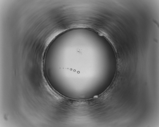 X0000100411187200806131029