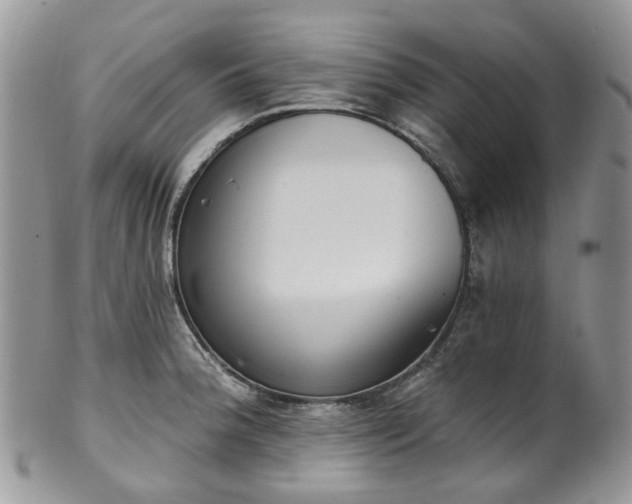 X0000100411188200806131029