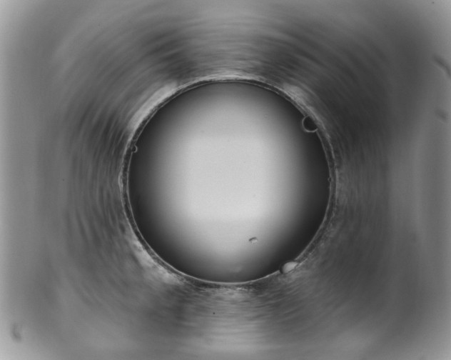 X0000100411189200806131029