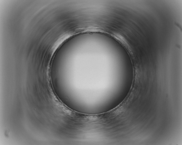 X0000100411190200806131029