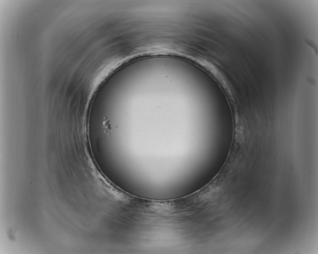 X0000100411191200806131029