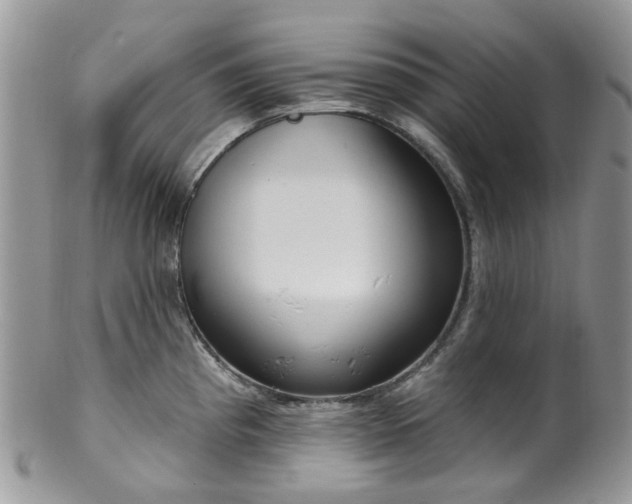 X0000100411193200806131029