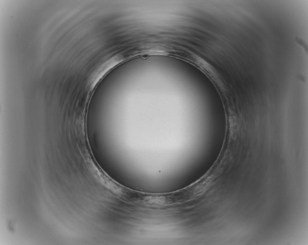 X0000100411194200806131029