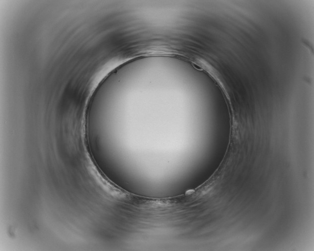 X0000100411195200806131029