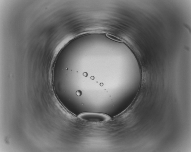 X0000100411196200806131029