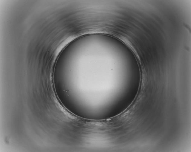 X0000100411197200806131029