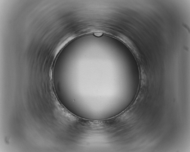 X0000100411198200806131029