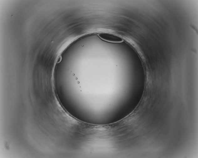 X0000100411199200806131029