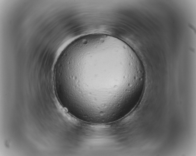 X0000100411200200806131029