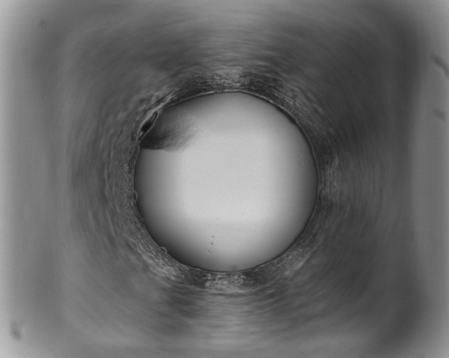 X0000100411201200806131028