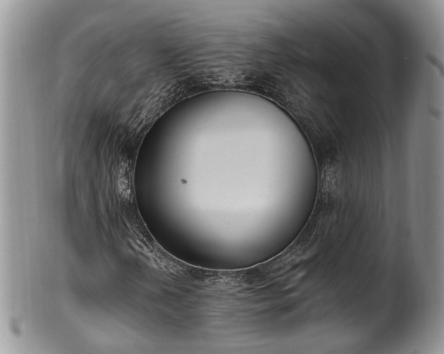 X0000100411202200806131028