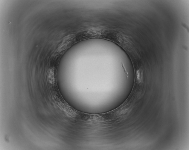 X0000100411203200806131028