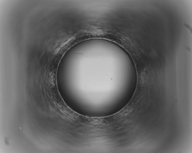 X0000100411205200806131028