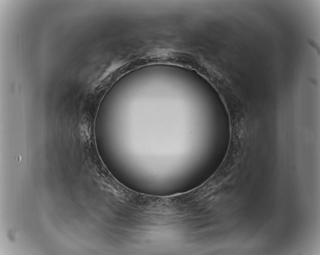 X0000100411206200806131028