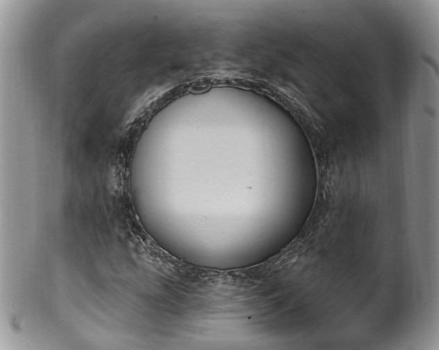 X0000100411207200806131028