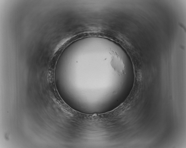 X0000100411208200806131028