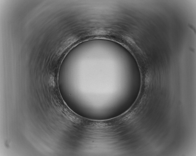 X0000100411209200806131028