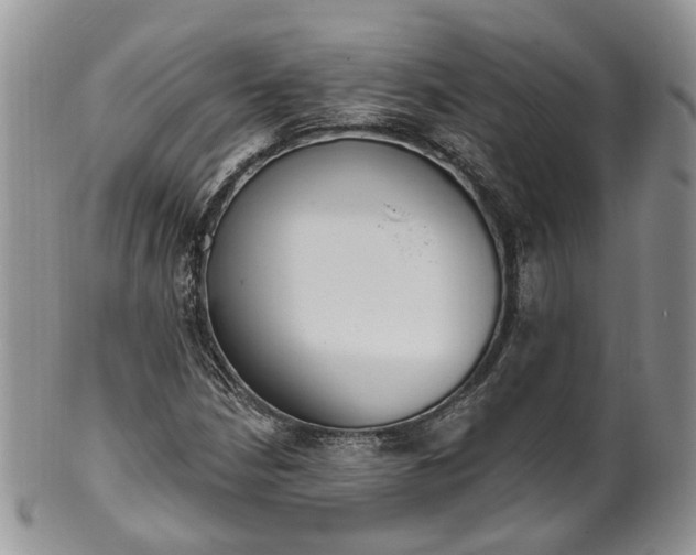 X0000100411210200806131028