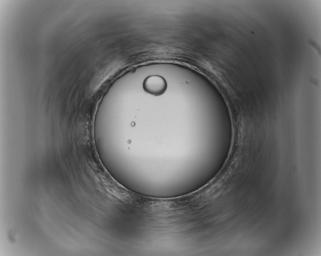 X0000100411211200806131028