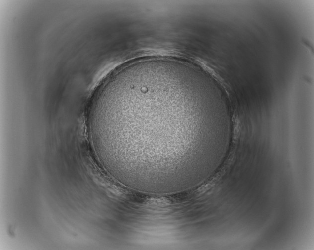 X0000100411215200806131028