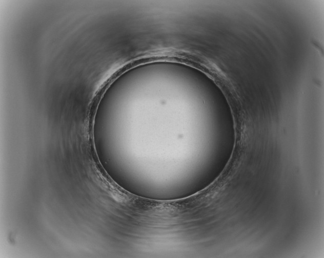 X0000100411216200806131028