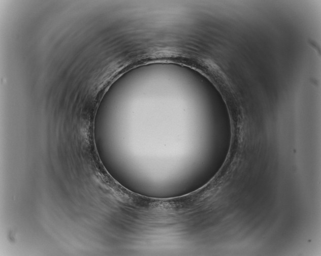 X0000100411217200806131028