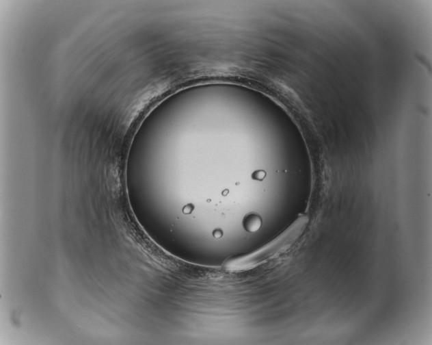 X0000100411218200806131028