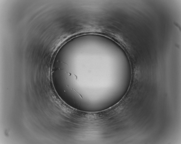 X0000100411220200806131028