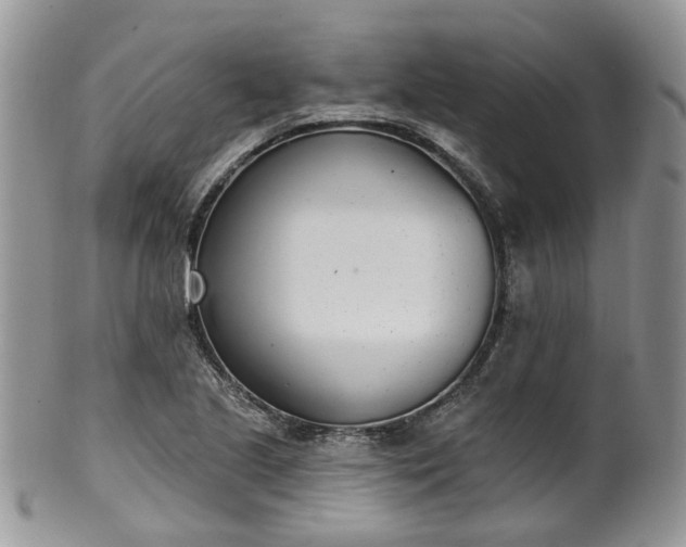 X0000100411221200806131028