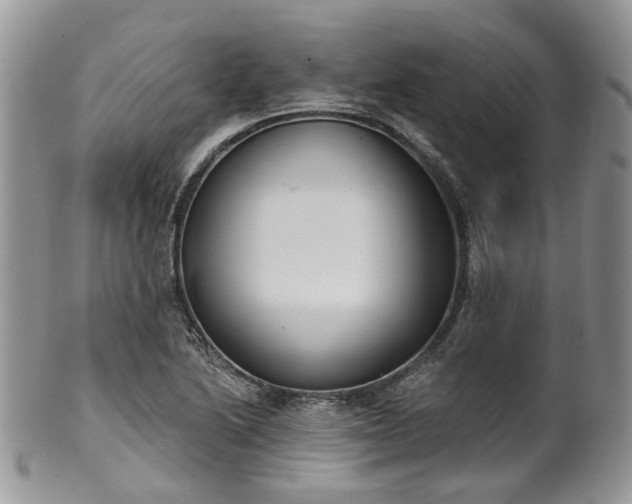 X0000100411222200806131028