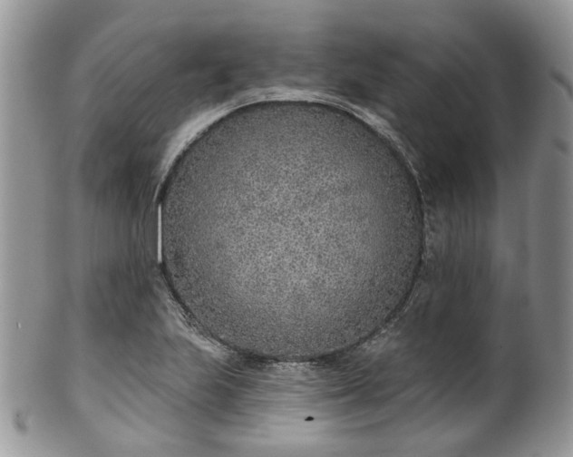 X0000100411223200806131028