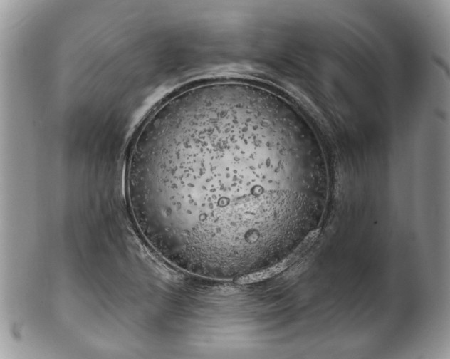 X0000100411224200806131028