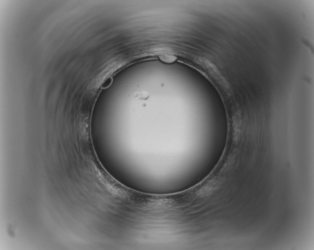 X0000100411225200806131028