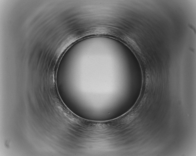 X0000100411226200806131029