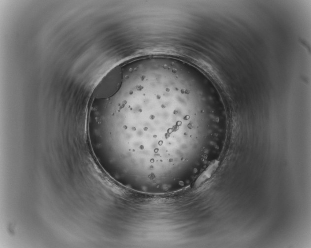 X0000100411228200806131029