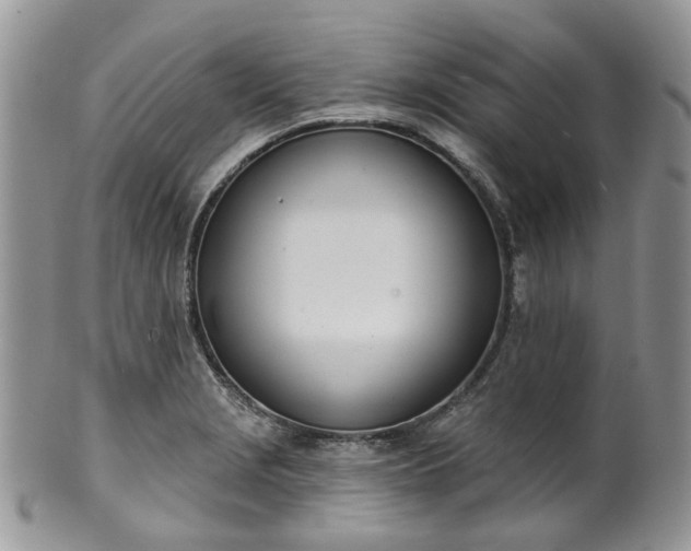 X0000100411229200806131029