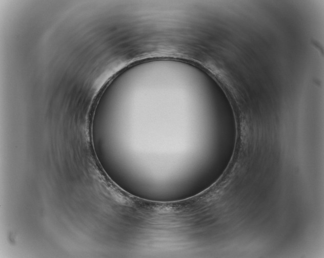 X0000100411230200806131029