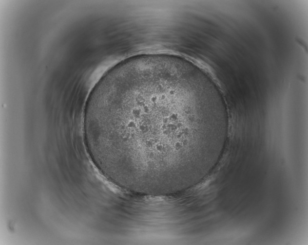 X0000100411231200806131029