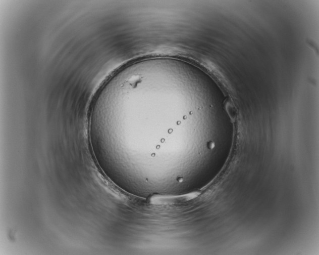 X0000100411232200806131029