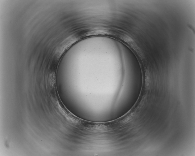 X0000100411233200806131029