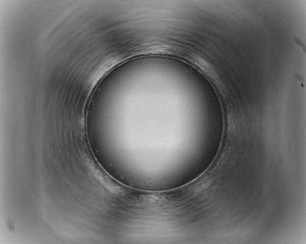 X0000100411234200806131029