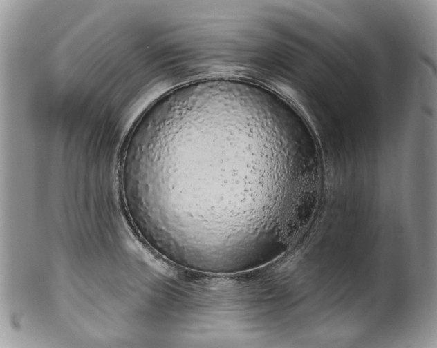 X0000100411235200806131029