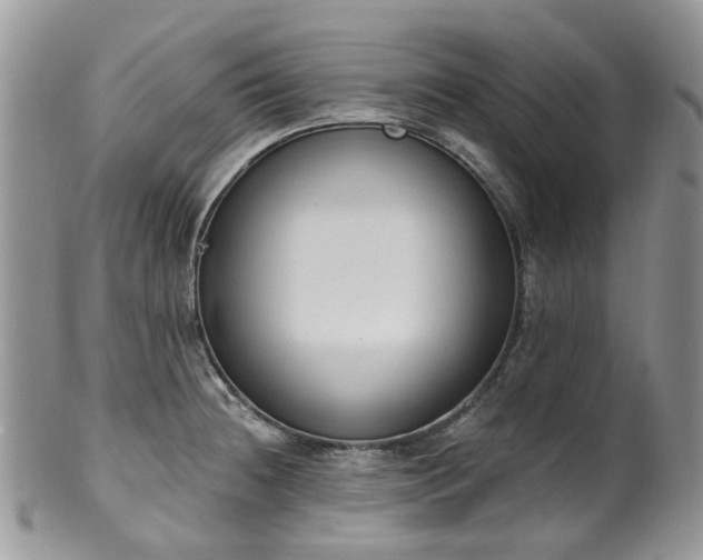 X0000100411236200806131029