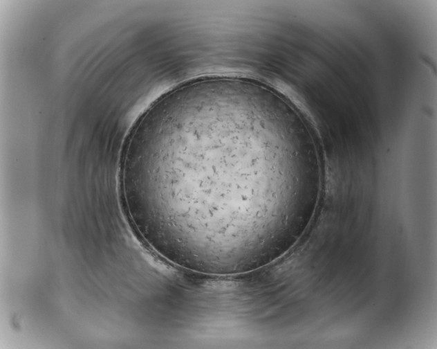 X0000100411237200806131029