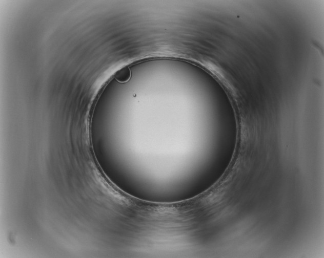 X0000100411238200806131029